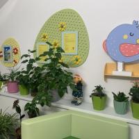 Зимний сад 1