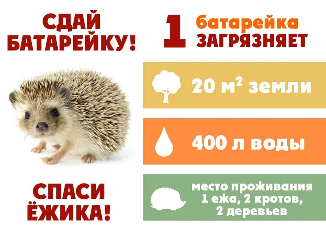 image 27 10 22 11 37 1 1