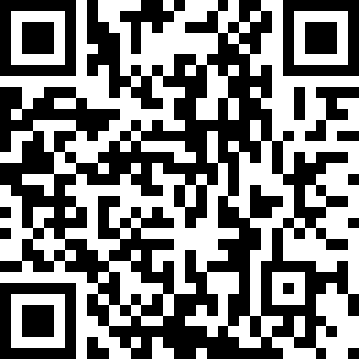 Код на программу в лицей